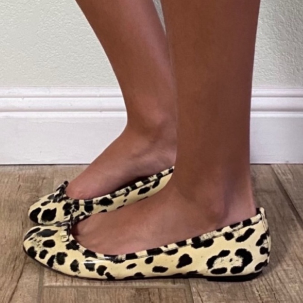 Dolce & Gabbana  shoes